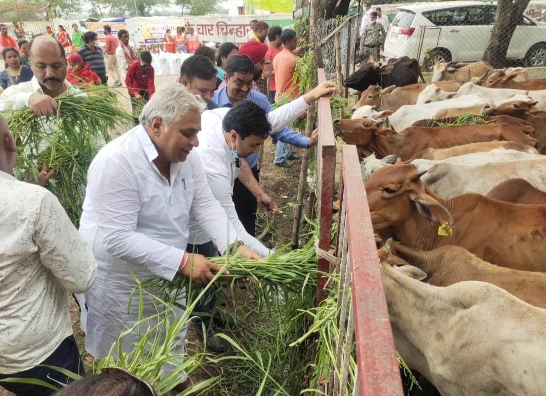 दुर्ग गौठान में मनाया हरेली तिहार: विधायक, महापौर, आयुक्त, सभापति और एमआईसी सदस्यों ने गेड़ी भौरा और ठेठरी खुरमी का उठाया लुत्फ …