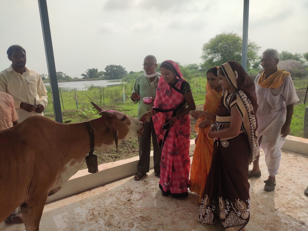 हरेली के अवसर पर ठेलका के आदर्श गौठान में पशु चिकित्सा शिविर का आयोजन…
