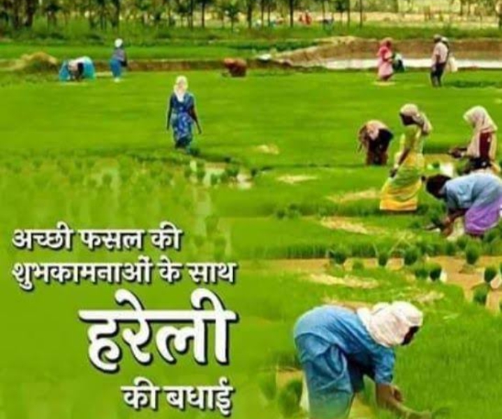 चलो फेर हरेली मनावव….