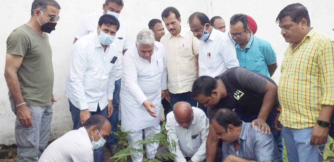 हरेली तिहार पर माता-पिता की स्मृति में लोगों ने लगाए पौधे