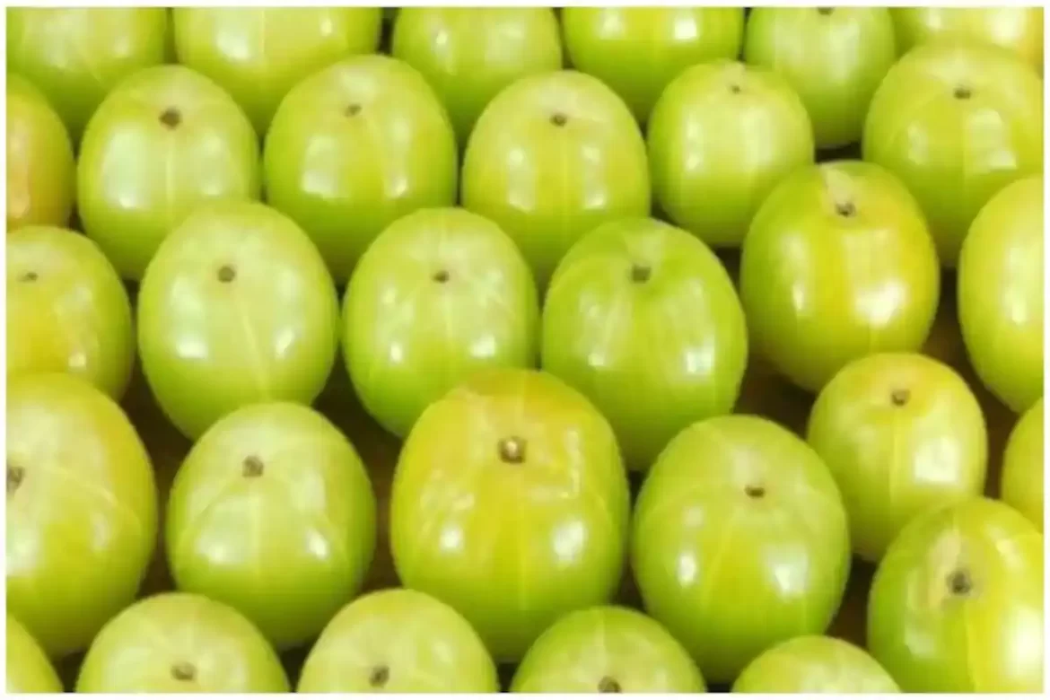इन लोगों के लिए आंवले का सेवन बन सकता है जहर