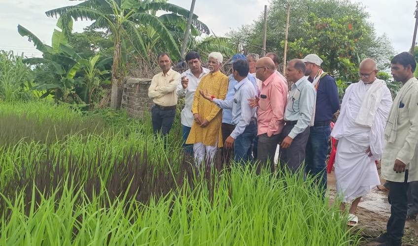 जैविक खेती को बढ़ावा देने के साथ ही घुमंतू गौवंश का सहारा बने गाड़ाडीह के किसान रमनलाल साहू