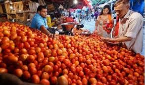 टमाटर के दाम में बढ़ोतरी की संभावना, लीफ माइनर लार्वा और रोगों ने बढ़ाई मुश्किलें