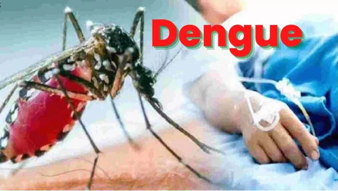 श्रीलंका में डेंगू ने मारा डंक, अब तक 19 लोगों की मौत