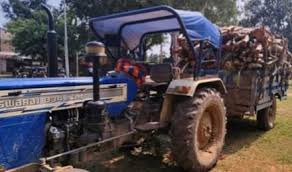 पेड़ काटकर बेचने वाले आरोपी को वन विभाग ने पकड़ा, ट्रॉली में लदी थी नीलगिरी की लकड़ी