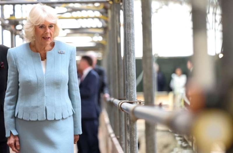 ब्रिटिश क्वीन कैमिला की तबीयत बिगड़ी, रानी छाती के संक्रमण से ग्रस्त