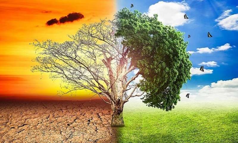 जलवायु परिवर्तन के खिलाफ भारत का मजबूत प्रदर्शन, अमीर देशों से समर्थन की अपील