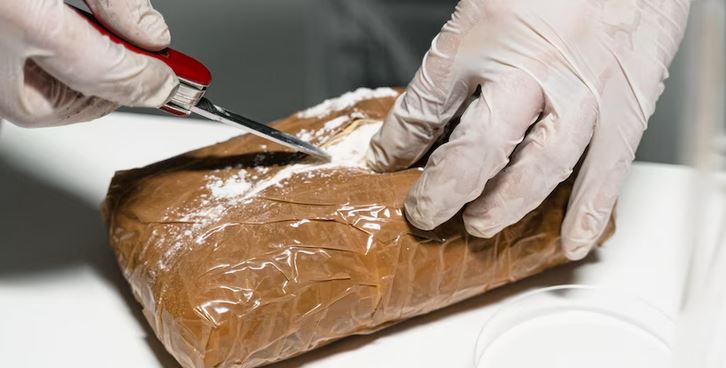 पूर्वोत्तर राज्यों में 123 किलोग्राम मेथामफेटामाइन जब्त ‎किया गया