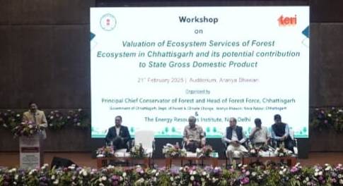 छत्तीसगढ़ में सतत वन प्रबंधन को मजबूती देने के लिए ठोस नीतियां बनाने पर जोर