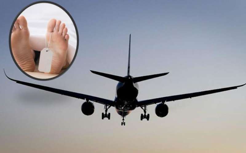 हवाई यात्रा में डरावना अनुभव, कपल के बगल में रखा गया शव