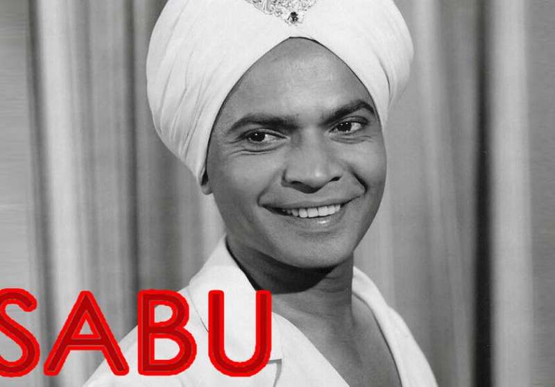 साबू की कहानी है एक साधारण लड़के की असाधारण यात्रा