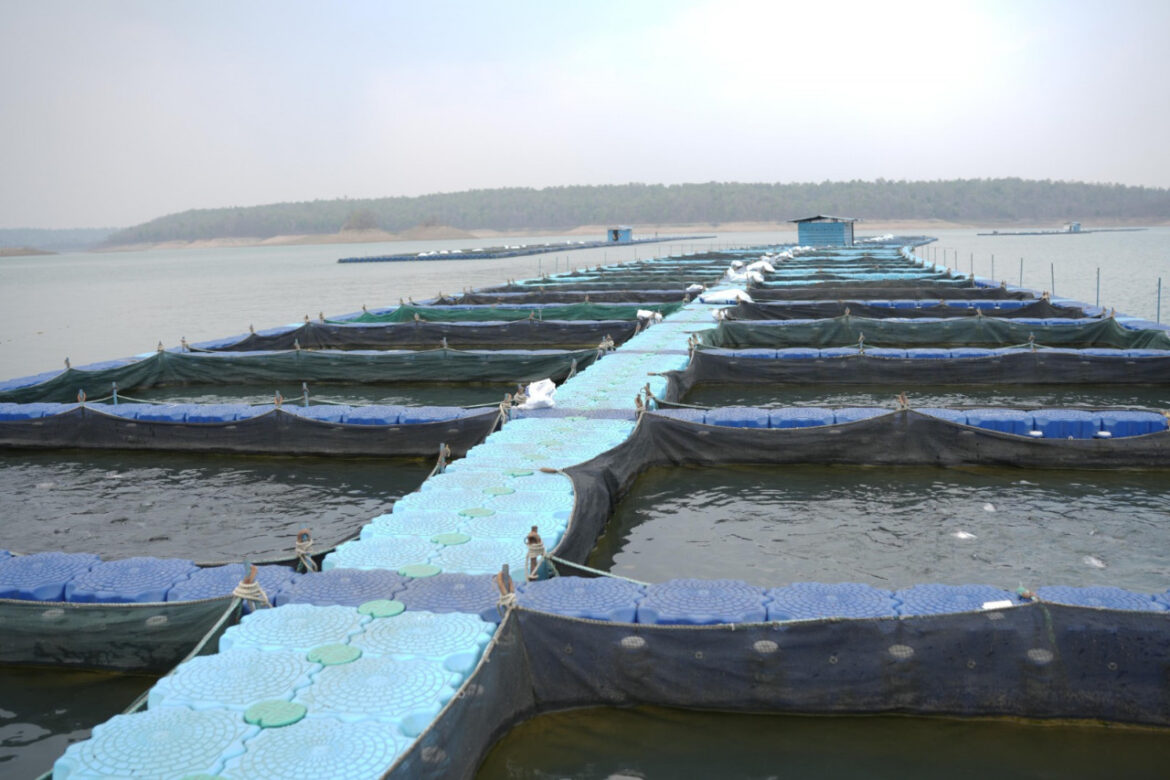 छत्तीसगढ़ में फिशरीज के नये युग की शुरूआत