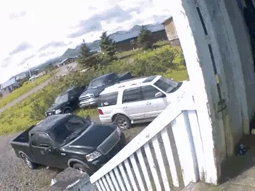 अमेरिकी राज्य अलास्का में गुरुवार तड़के करीब 2 बजे (भारतीय समयानुसार) भूकंप के तेज झटके महसूस किए गए