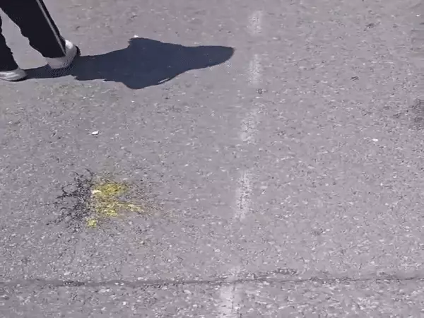 कनाडा में  इस्कॉन की जगन्नाथ रथ यात्रा पर कुछ लोगों ने छतों से अंड़े फेंके