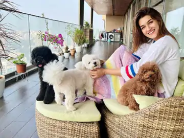 कृति सेनन और जावेद जाफरी की बिल्डिंग में एक अज्ञात शख्स घुस आया