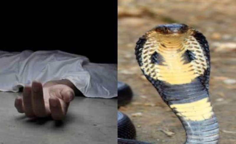 रास्ता नहीं, सुविधा नहीं—ओडिशा के गांव में बुनियादी ढांचे की पोल खुली