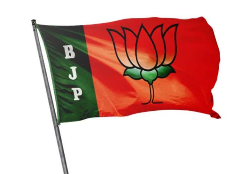 100 लोगों से संपर्क……अब उपराष्ट्रपति चुनाव के बाद मिल सकता है बीजेपी को नया बॉस