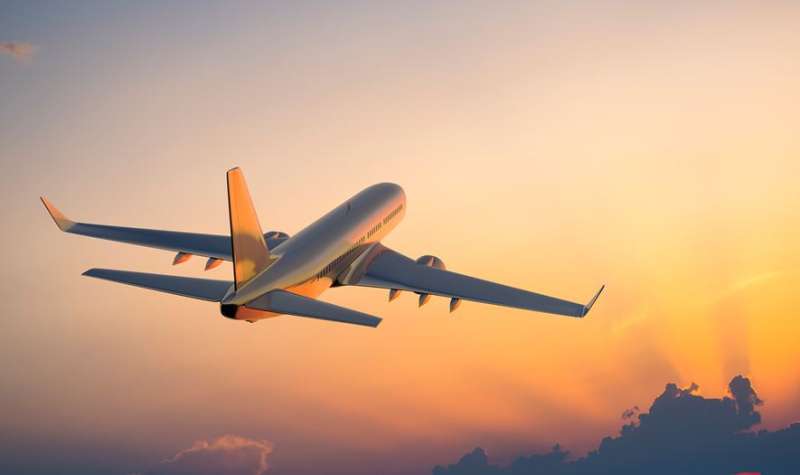 एयर इंडिया एक्सप्रेस की फ्लाइट बर्ड हिट के बाद कैंसिल