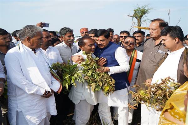 किसान चिंता न करें प्रभावित हर खेत का होगा सर्वे : मुख्यमंत्री डॉ. यादव