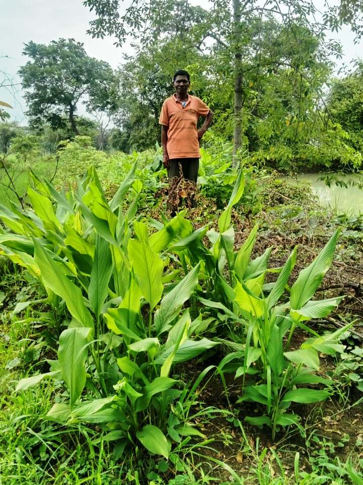 डबरी ने खोले समृद्धि के द्वार, दुलार सिंह का सपना हुआ साकार