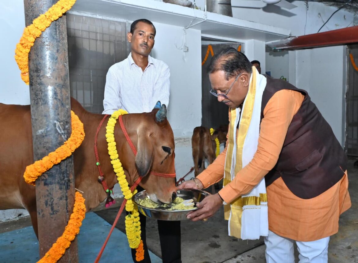 गोवर्धन पूजा के अवसर पर मुख्यमंत्री ने किया गौपूजन, प्रदेशवासियों की सुख-समृद्धि की कामना की*