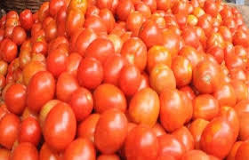 पाकिस्तान में टमाटर के दाम हुए आसमान छू, अफगानिस्तान के असर से हुई बढ़ोतरी