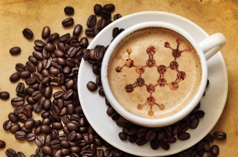 कॉफी में डाला जा रहा कॉकरोच पाउडर, एक कप की कीमत 560 रुपए