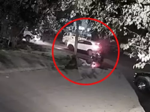 चंडीगढ़ के सेक्टर‑26 टिंबर मार्केट में सोमवार देर शाम कार सवार इंदरप्रीत सिंह उर्फ पैरी की गोली मारकर हत्या कर दी गई