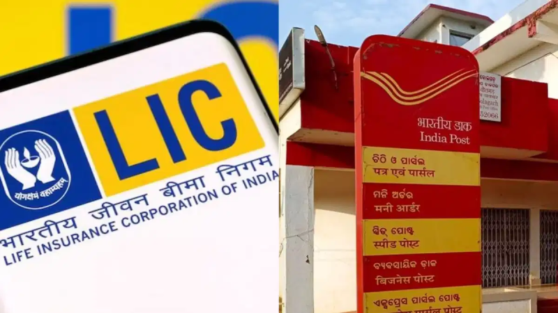 Post Office और LIC की योजना में अंतर, जानिए कौन-सी स्कीम है फायदेमंद