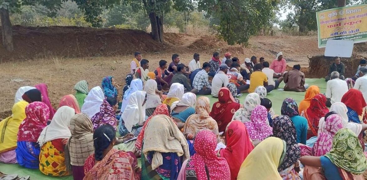 50 वर्षों बाद धमतरी के आदिवासी अंचल में रबी खेती की वापसी