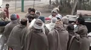 सामूहिक रूप से जहर देकर कुत्तों को मारने का आरोप