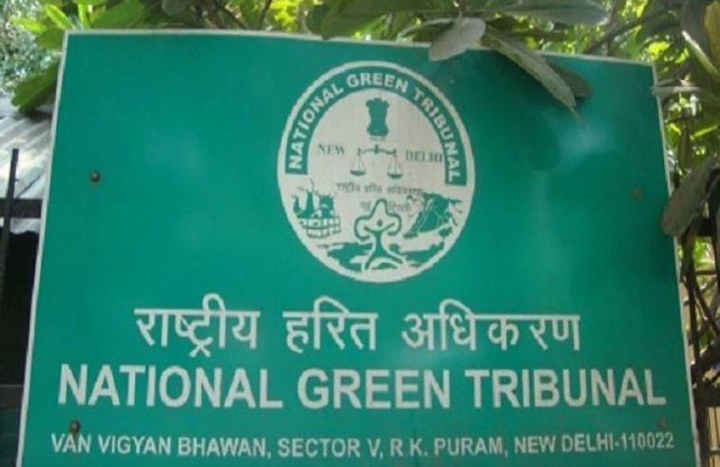 NGT का बड़ा फैसला, भोपाल अयोध्या बायपास रोड के लिए नहीं काटे जा सकते 8 हजार पेड़, रोक बरकरार