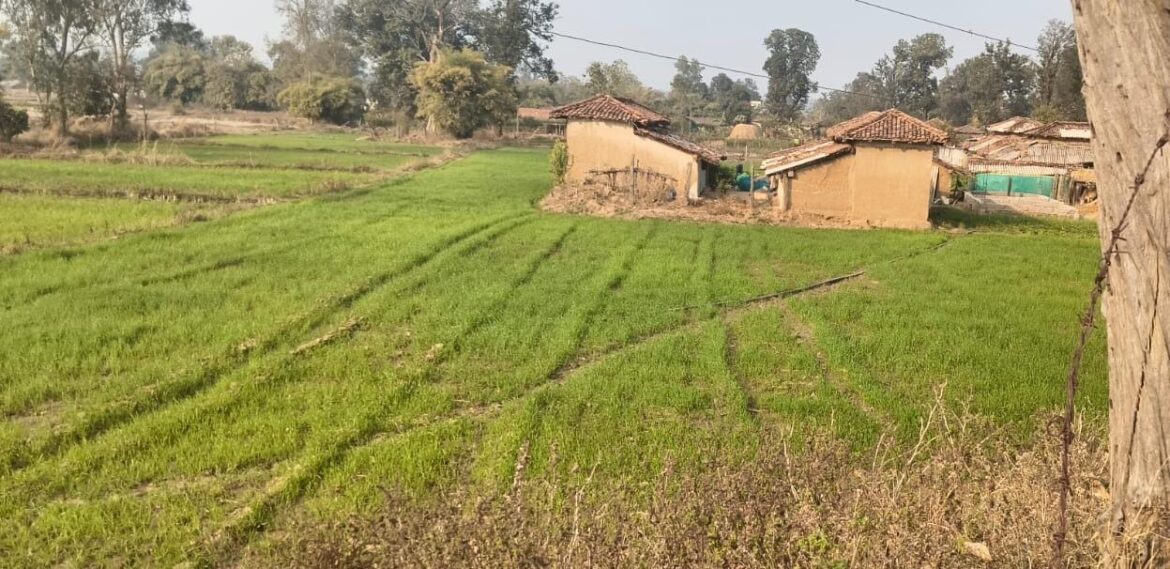 सफलता की कहानी