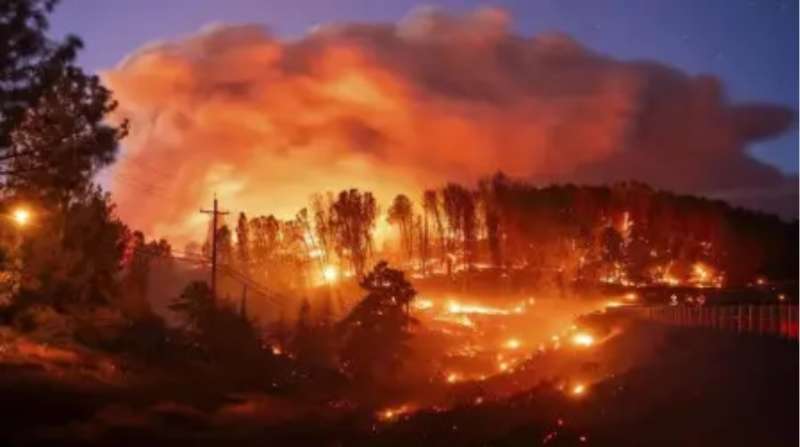 अरुणाचल और नागालैंड के जंगलों में आग बुझाने सेना-वायुसेना का युद्धस्तर पर काम जारी