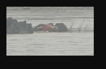 अमेरिका निर्मित शक्तिशाली बम की पहचान, सुवर्णरेखा नदी तट पर भीड़ जमा