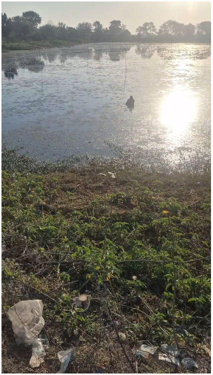 विदिशा के डायल 112 हीरोज : सतर्कता और संवेदनशीलता से बची ज़िंदगी, तालाब में कूदी महिला को सुरक्षित बाहर निकाला