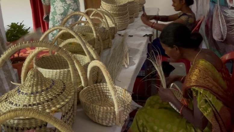 सफलता की कहानी