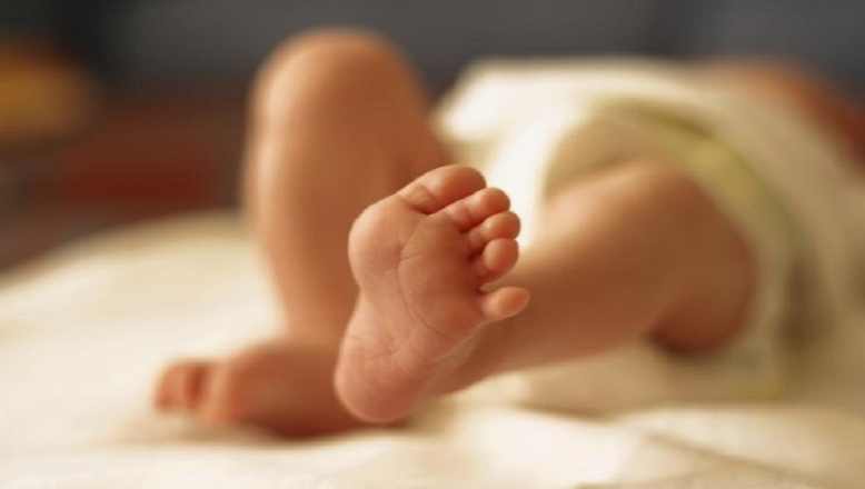 हाईकोर्ट का फैसला: संतान को पेंशन का हक, चाहे जन्म अवैध रिश्ते से हुआ हो