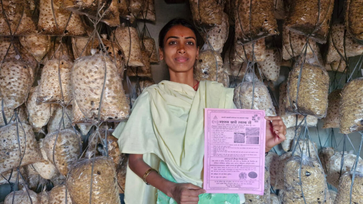 संघर्ष से समृद्धि तक के सफर की मिसाल