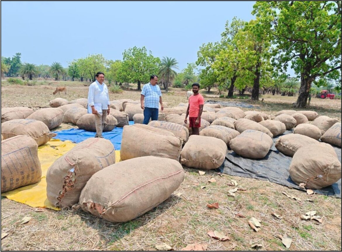 हरा सोना संग्राहकों की आय बढ़ाने की दिशा में बड़ा कदम