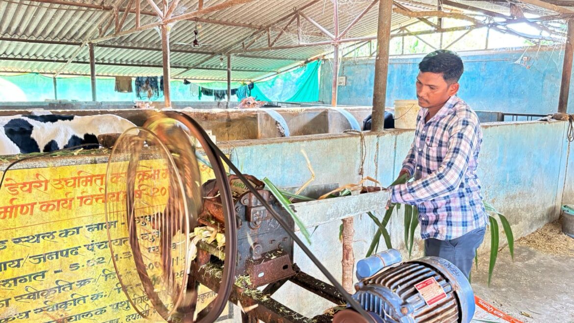 सफलता की कहानी