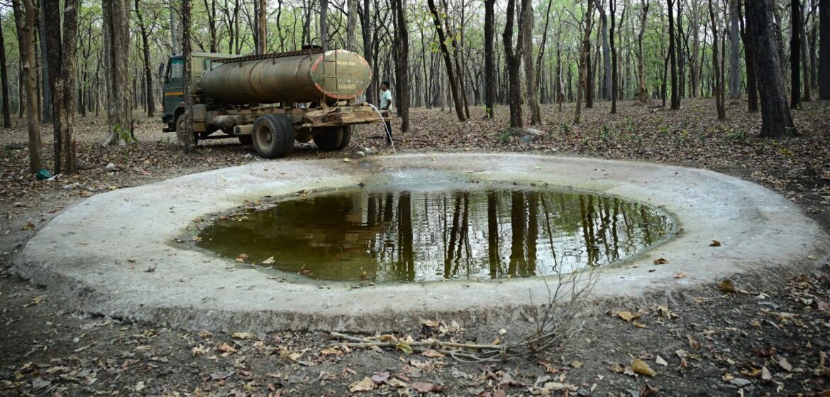 ​भीषण गर्मी में वन्यजीवों के लिए ‘संजीवनी’ बना बारनवापारा