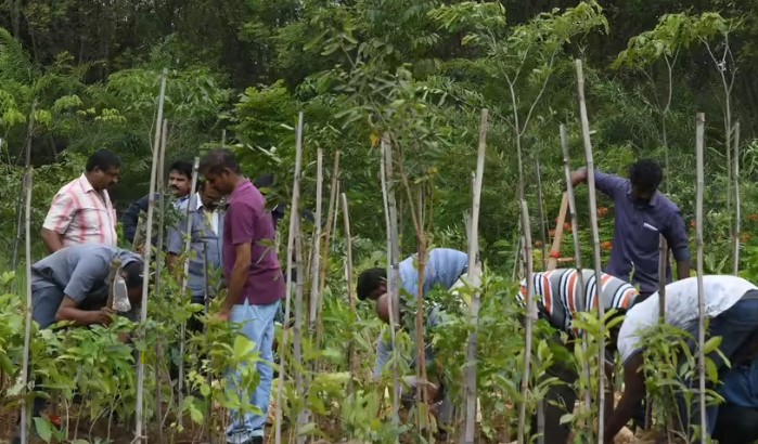 मियावकी वन तकनीक से हरित छत्तीसगढ़ की ओर बढ़ते कदम