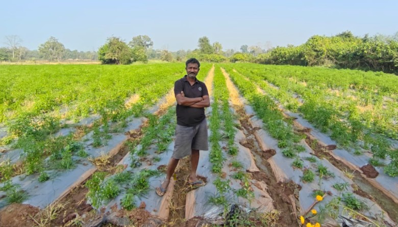 नक्सल मुक्त क्षेत्रों में आधुनिक खेती से कृषक गोपाल एर्रागोला ने रची सफलता की नई इबारत