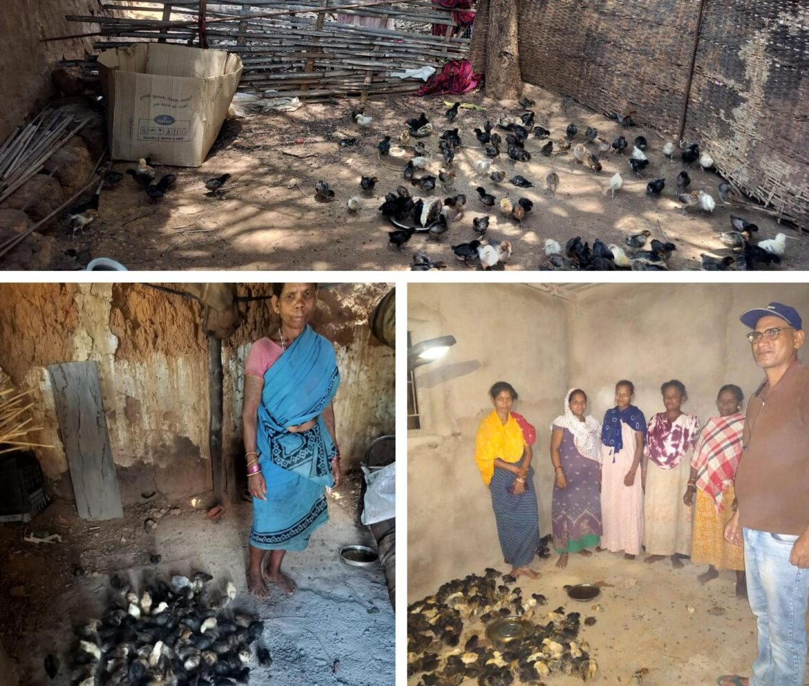 सफलता की कहानी