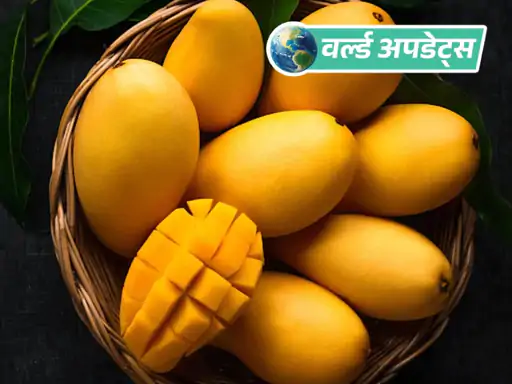 जापान के बाद अब नेपाल ने भारत से आम मंगाने पर रोक लगा दी