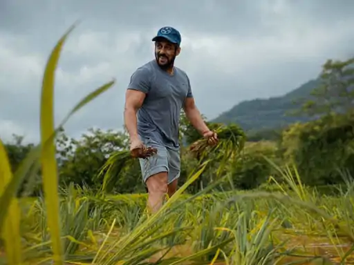 बॉम्बे हाईकोर्ट ने बॉलीवुड एक्टर सलमान खान के पनवेल फार्महाउस के पड़ोसी केतन कक्कड़ को सोशल मीडिया से एक्टर के खिलाफ अपमानजनक पोस्ट और वीडियो हटाने को कहा