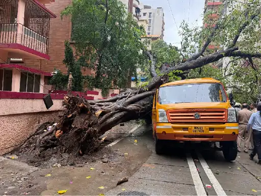 मुंबई के चेंबूर इलाके में मंगलवार दोपहर प्राइवेट स्कूल बस पर एक पेड़ गिर गया