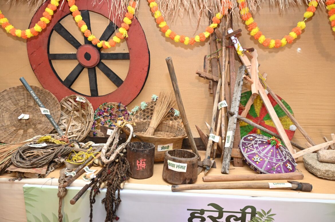 विशेष लेख: छत्तीसगढ़ का लोक-पर्व: हरेली तिहार