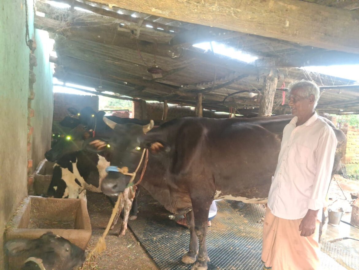 पीएम किसान सम्मान निधि की बचत से खरीदी पहली गाय, आज 10 गायों के साथ आत्मनिर्भर बने 75 वर्षीय परशुराम गुप्ता